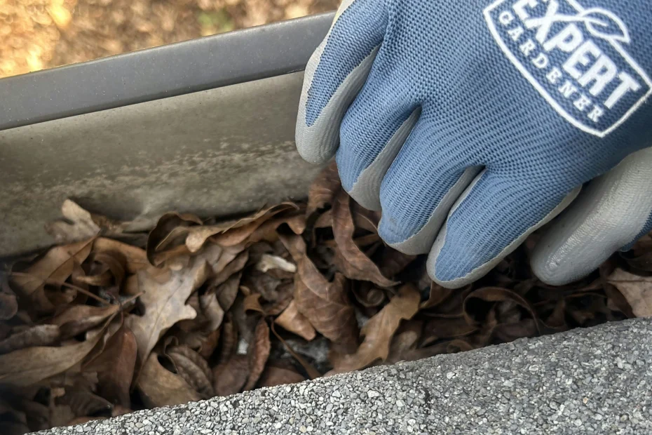 Gutter Cleaning Belleair Beach FL