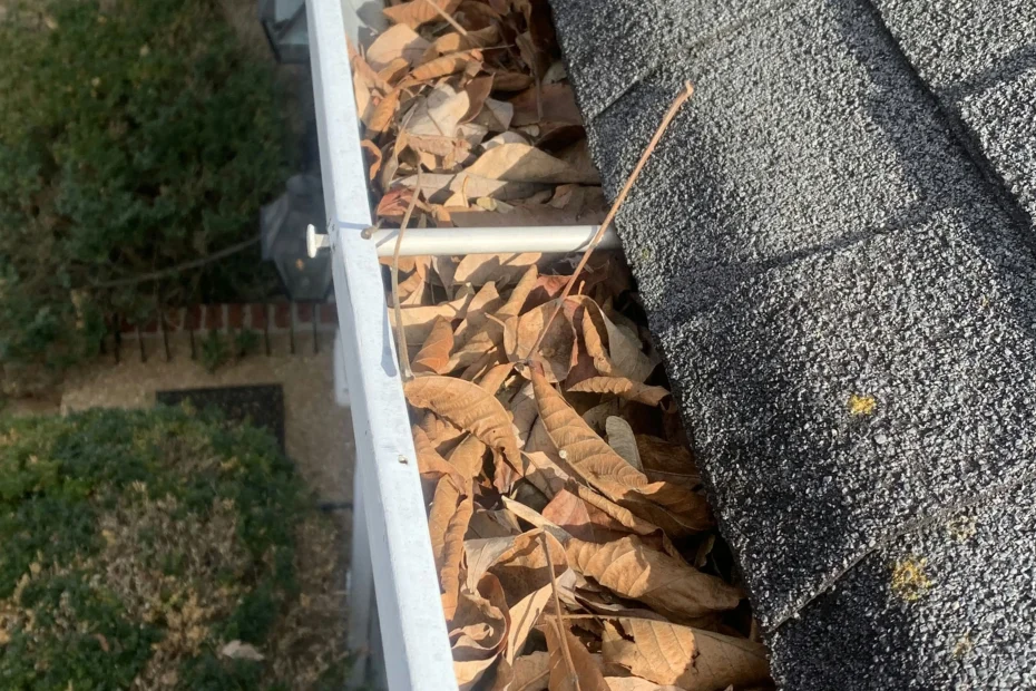 Belleair Beach Gutter Cleaning